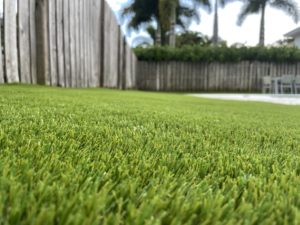 Artificial Grass