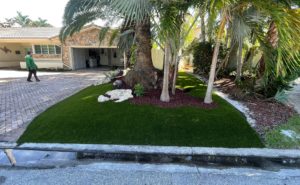 outdoor living space , Front Yard, Artiicial Grass