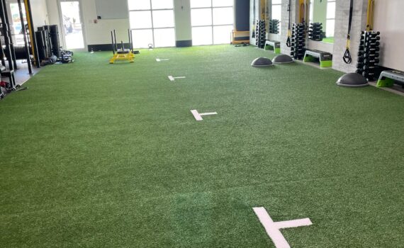 Indoor Synthetic Turf