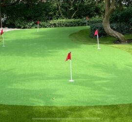 Putting Green 1 Evergreen Tech