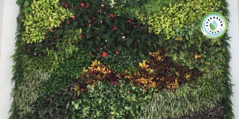 Green wall