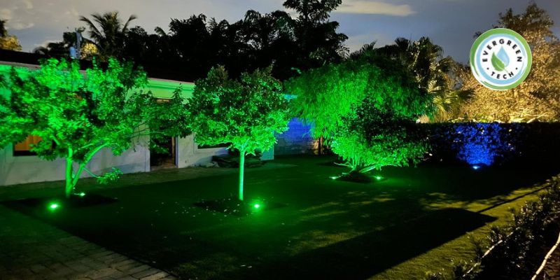 Landscape Lighting