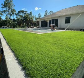 Artificial Grass