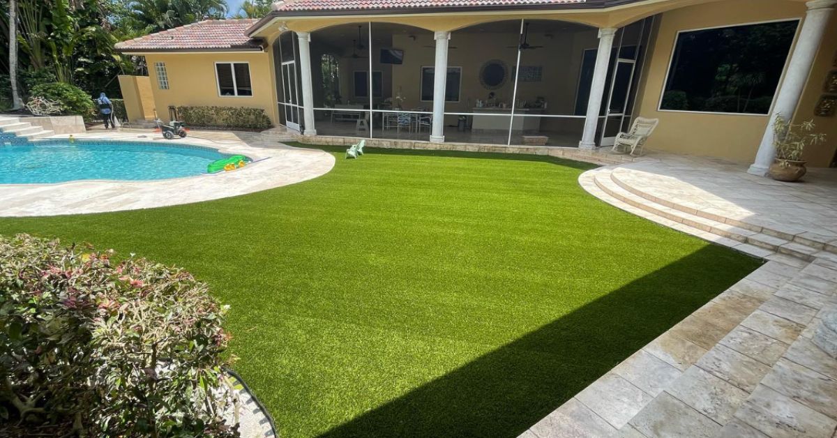 A dog playing on an artificial grass lawn in a sunny backyard